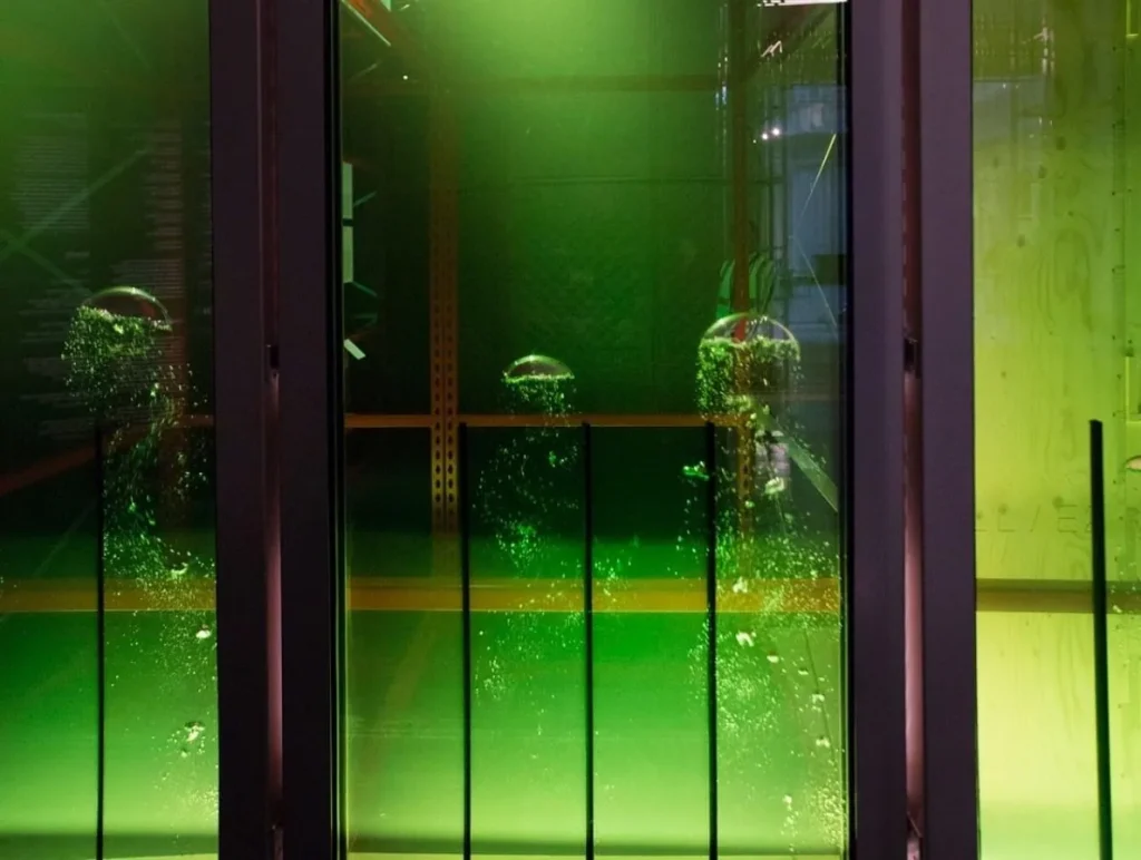 A3525 15 Examples of architecture inspired by nature Image 5.jpg