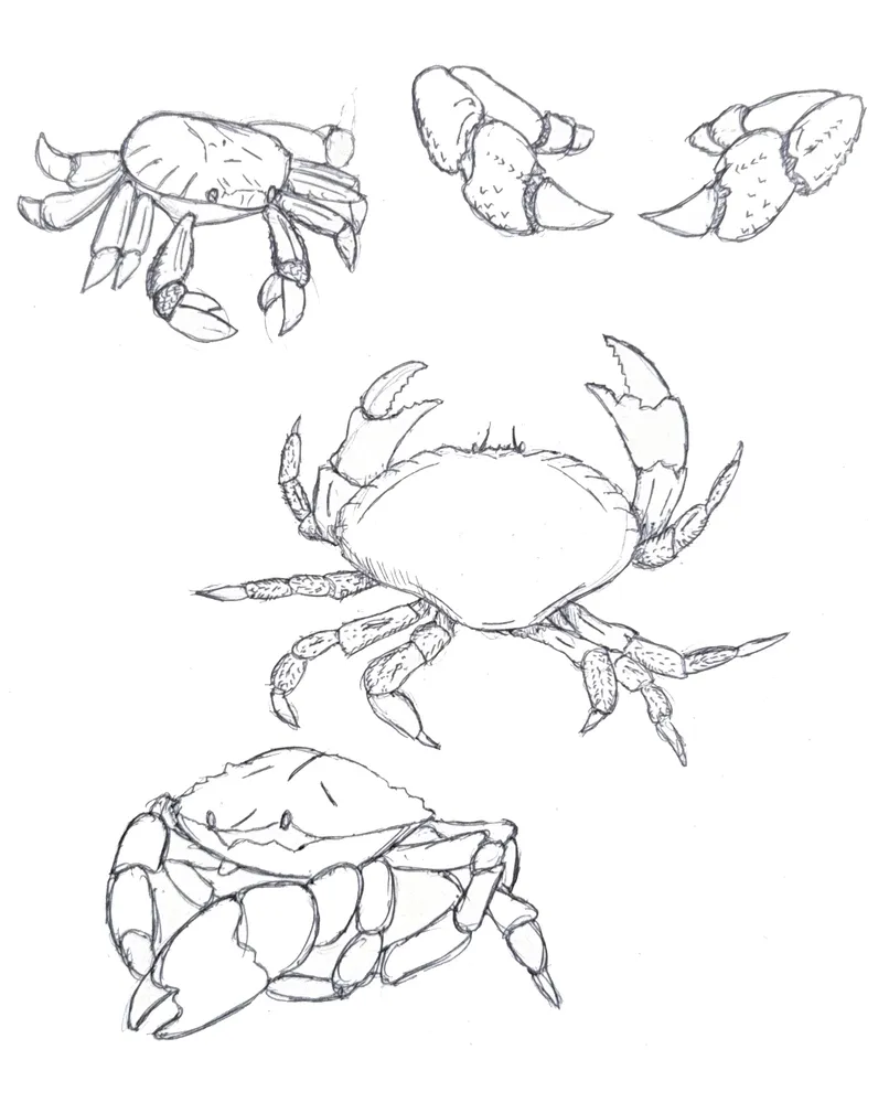 TOBI_IS_A_CRAB__result TOBI IS A CRAB result