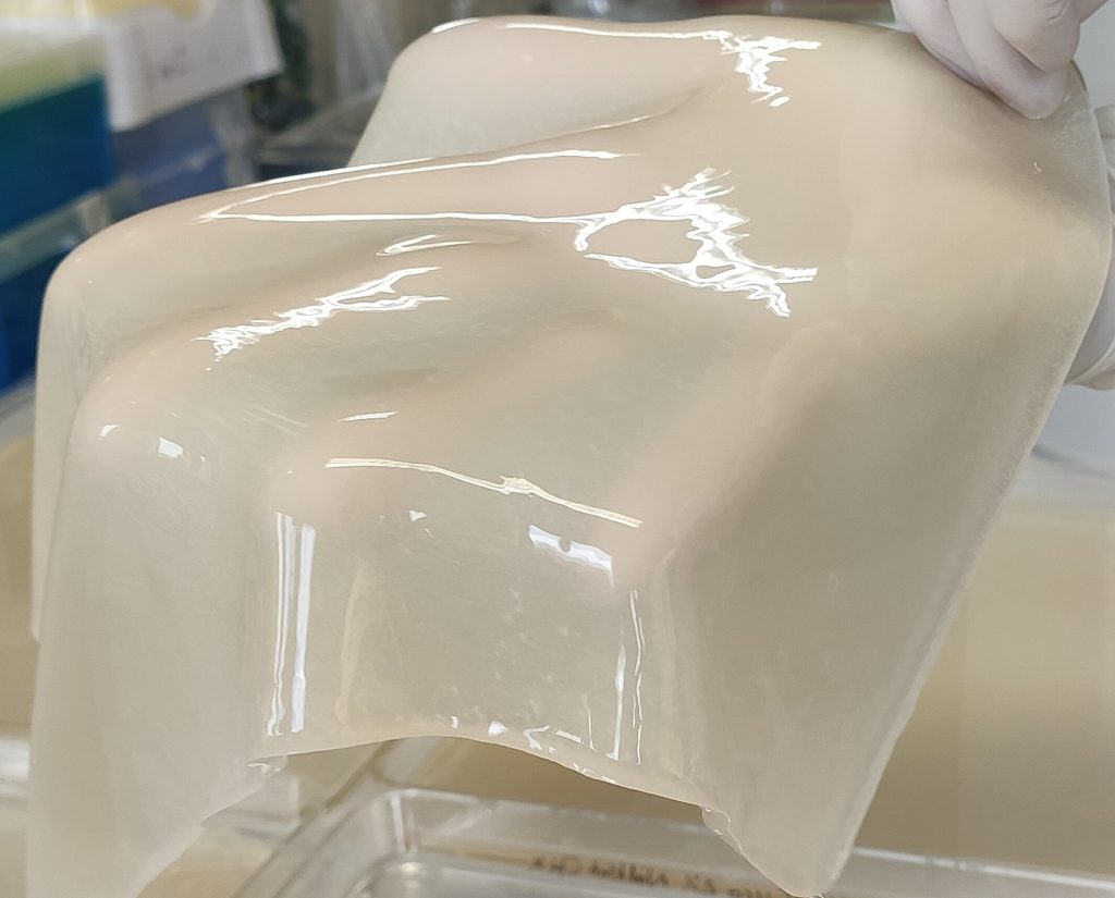 mbt214243 fig 0001 m