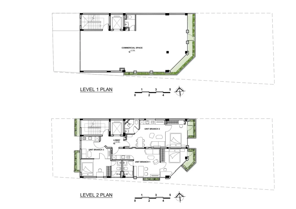 room-plus-the-jungle-55-35 room plus the jungle 55 35