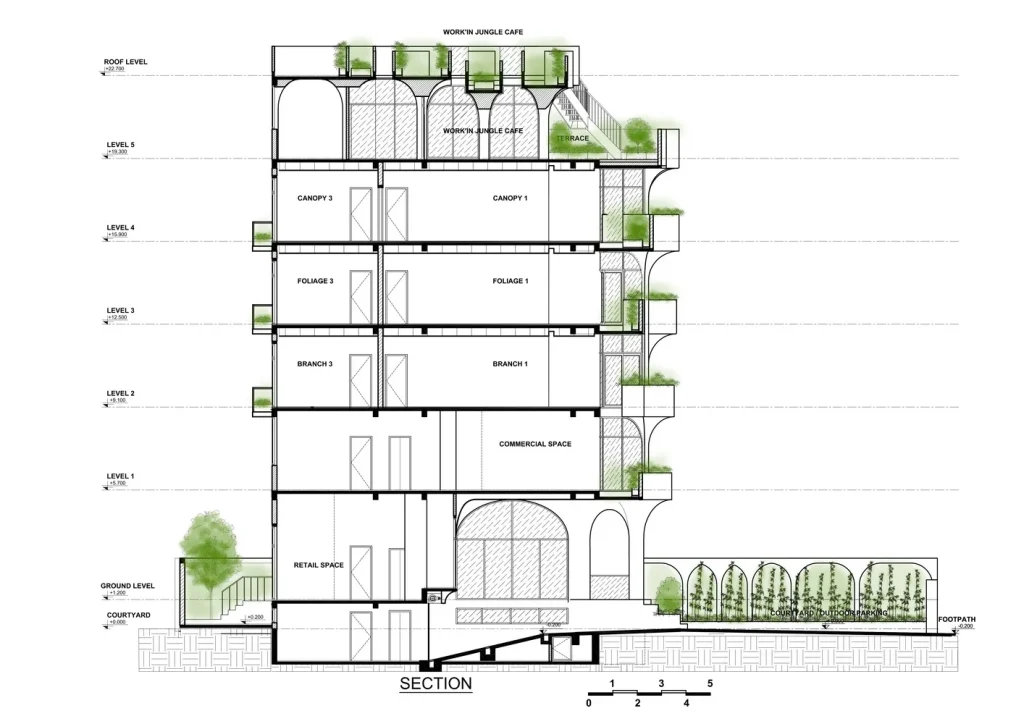 room-plus-the-jungle-58-38 room plus the jungle 58 38