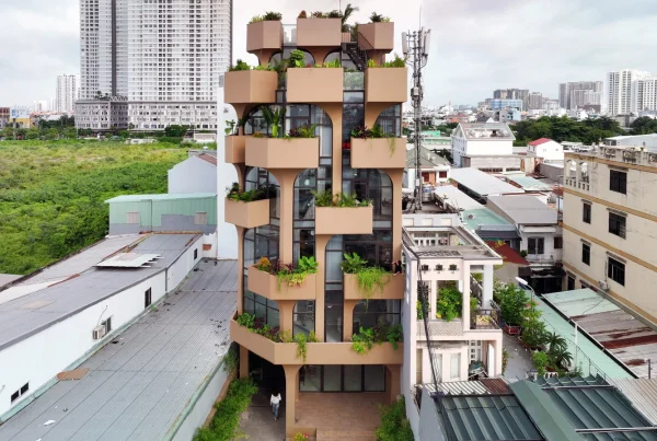 the jungle residence room plus design and build 30