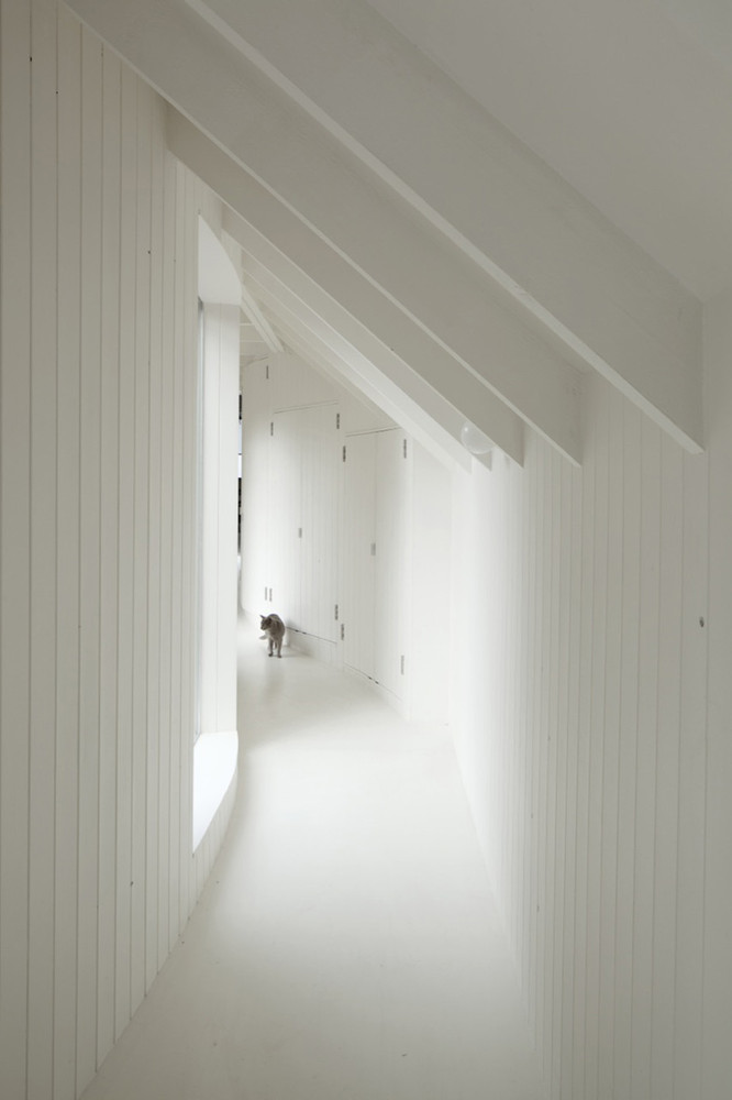 6a architects Tree House 02 &copy; 6a architects