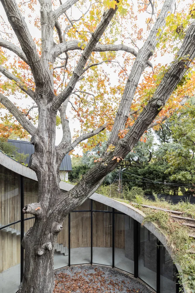 casa luma atelierm 3 result